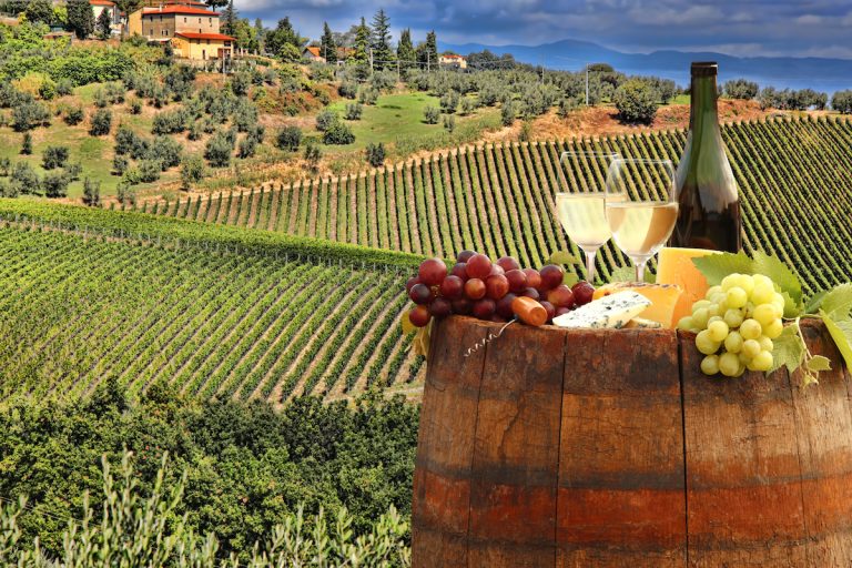 Wine Tasting in Italy: Sip and Savor